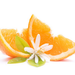 Fleur d'oranger