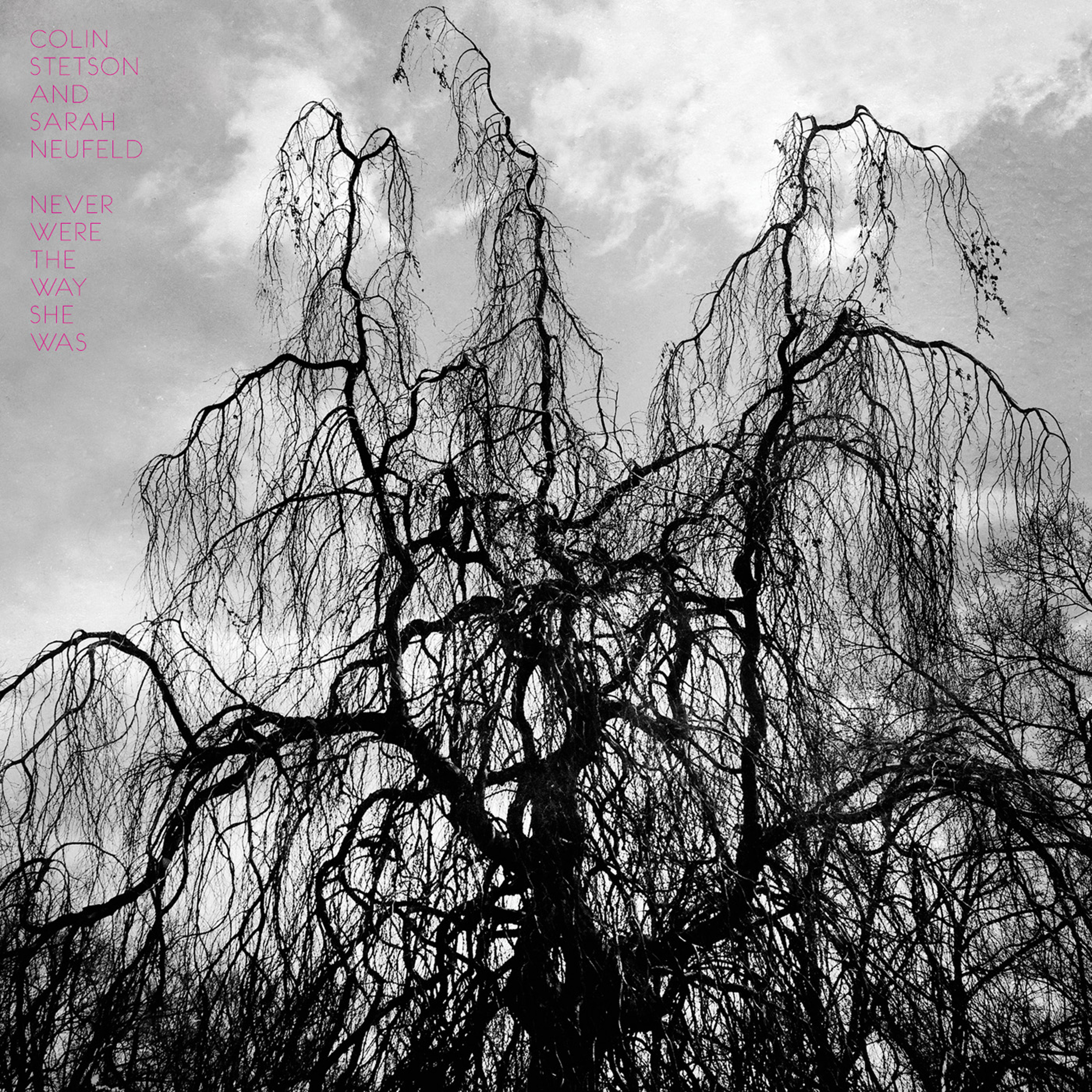 Colin Stetson and Sarah Neufeld • Won't be a thing to become episode artwork