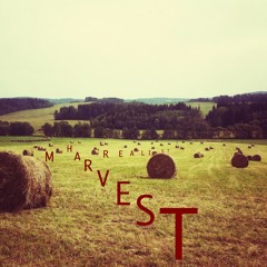 Harvest 05