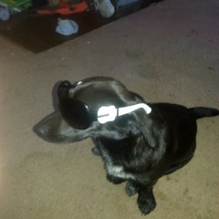 Chronic Pounder 5alice live