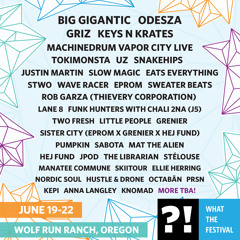WhatTheFest2015 Playlist