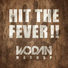 Hit The Fever (Mashup)