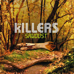 Shadowplay (The Killers' Joy Division)