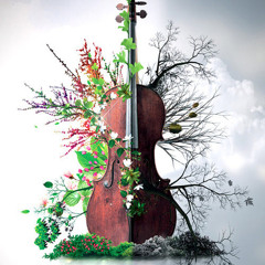 Om Namah Shivaya - 8Dio Solo Cello Designer
