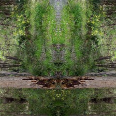 Aphex Twin - MARCHROMT30A edit 2b 96 [104.98]