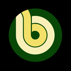 BITT077 - Many Reasons Aka MiniCoolBoyz - Compact