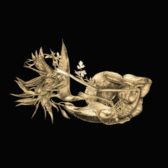 Pony the Pirate - I killed a man and don't even feel guilty about it