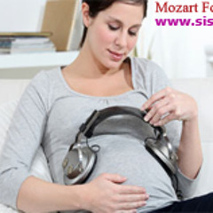 5 - Mozart For My Baby