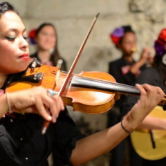 Blue Medley - Flor De Toloache