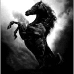 Chasing Horses In The Dark