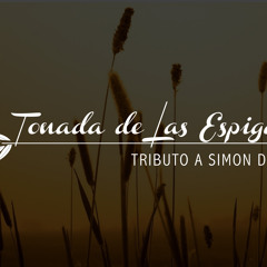 Tonada De Las Espigas (Simón Díaz) -  (Radio Edit)