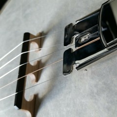 Dixeland Delight  (Banjo Cover)