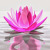 Artwork for Peace Mantra