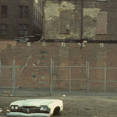 フラミンゴ - Stretch Limo