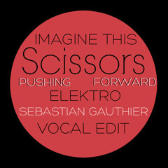SCISSORS x IMAGINE THIS - Pushing Elektro Forward (Sebastian Gauthier Vocal Edit)