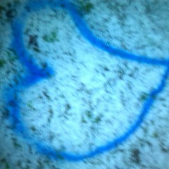 Phillip Poisel Halt mich//official