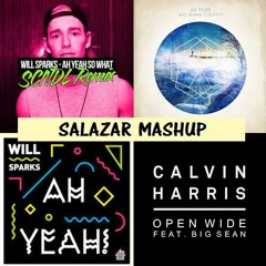 Will Sparks & TJR & SCNDL Vs Calvin Harris feat Big Sean - Ah Yeah ! So Open Wide (Salazar Mashup)
