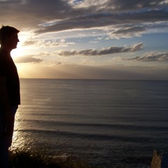 DSI Polyevolver - Pro2