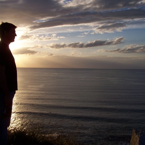 DSI Polyevolver - Pro2