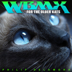WBMX Mixed Bag for the older Cats