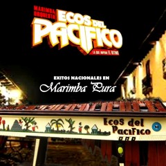 MIX EN MARIMBA PURA