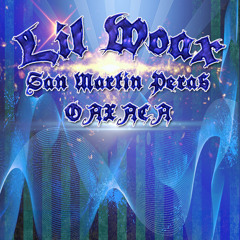 SOY UN MIXTECO - LIL WOAX (rap en mixteco)2015