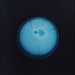 Sweet Beach en la Bronx [DEMO]