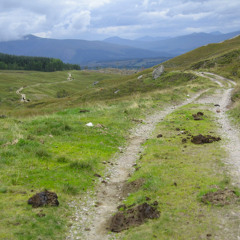 4 - L'euforia Della Strada