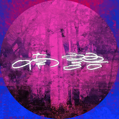 清らかな生き物(live 2015.02.15)