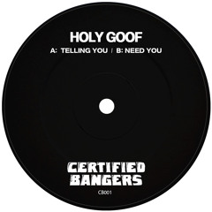 Holy Goof - Telling You [Certified Bangers] - GetDarker Premiere