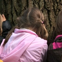 Ces Enfants Sur Mon Chemin - Envol