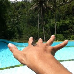 Butterfly People ~ Acoustic