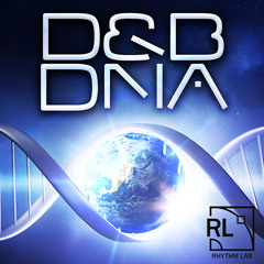 D&B DNA Demo