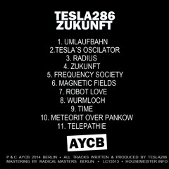 08 Tesla286 - Wurmloch