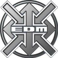 DJ MILLEN - THE BEST OF EDM RECORDS