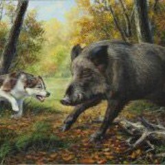 Хьэжьымрэ кхъуэжьымрэ я уэрэд