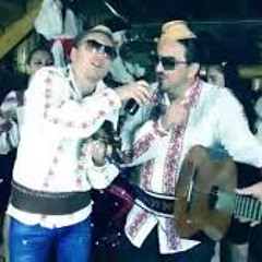 Mr. Juve & Susanu - Ca In ROMANIA