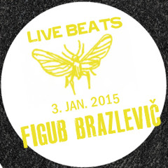 LE FLAH - Figub Brazlevic - January 3rd 2015