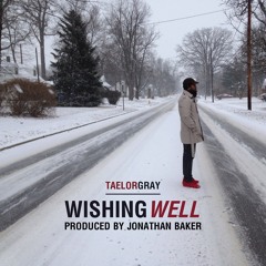 Taelor Gray - Wishing Well