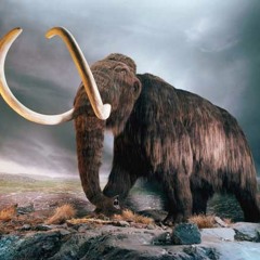 Mammoth (Leroy's Remake)