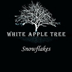 Andy Destruction - Snowflakes Remix
