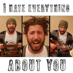 I Hate Everything About You - Cover
