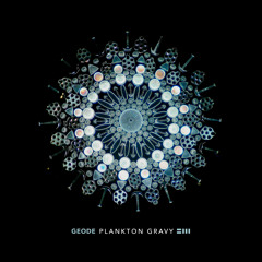 Geode - Plankton Gravy LP (Part 2)