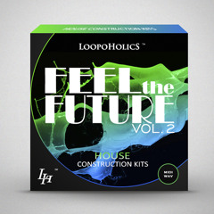Loopoholics Feel The Future Vol. 2 House Construction Kits Demo