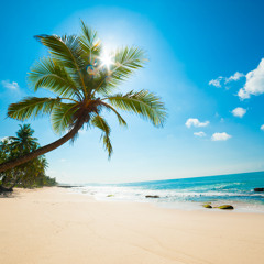 Shine On The Beach...