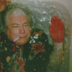 The World is a Beautiful Place & I Am No Longer Afraid to Die - "From the Crow's Nest on Fire Street"