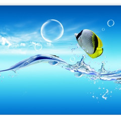 Maxelto - Sjohast ~piano remake~ *ZF*