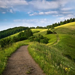 Empty Your Heart From All Distractions & Accompany The Righteous By Abu ‘Abdis Salaam Al Juyaanee