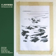 Triennale (New Peasant Shirt)