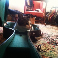 Not A Dream (Acoustic Folk cue)